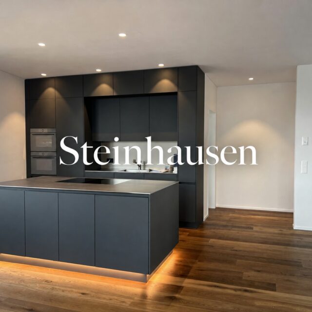 Exklusive 3.5-Zimmer-Neubauwohnung in Steinhausen mit Lift direkt in die Wohnung, grosszügiger Terrasse und herrlichem Bergblick. Master-Suite mit En-Suite-Bad, hochwertige Ausstattung sowie Doppelgarage mit eigener E-Ladestation.